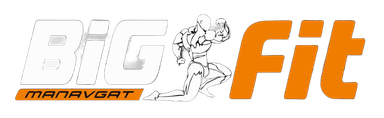 BIG FIT Logo